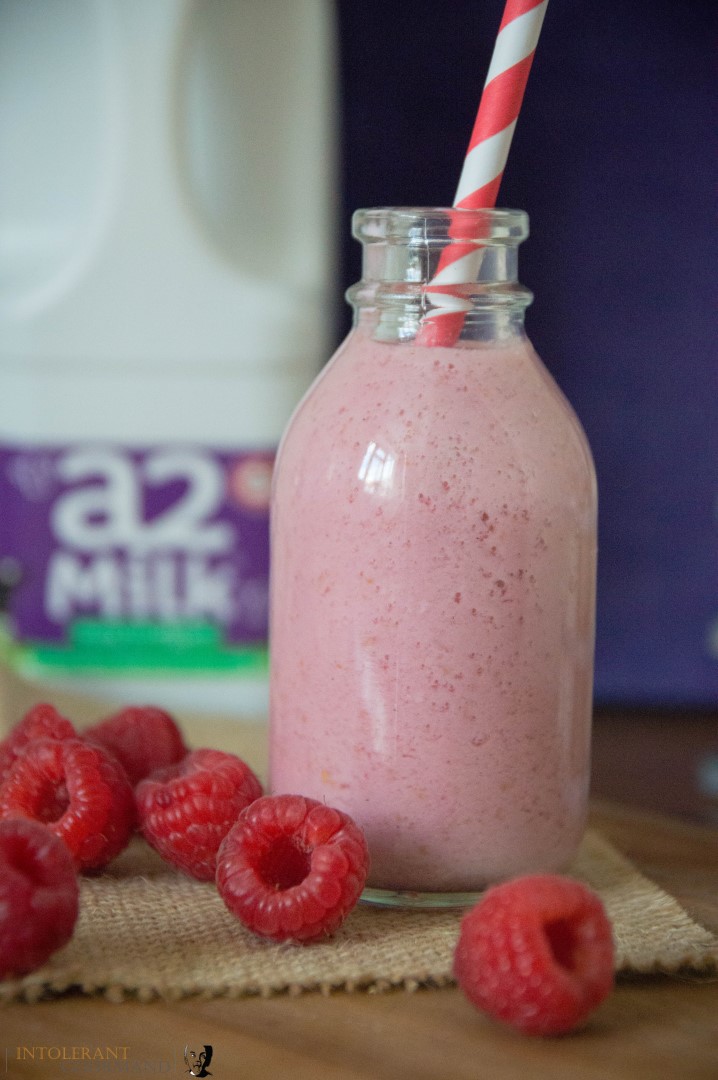 Rasberry Milkshake - deliciously creamy milkshake made with fresh fruit, a2 Milk, and a little honey! Healthy, tasty and super easy to make! www.intolerantgourmand.com 