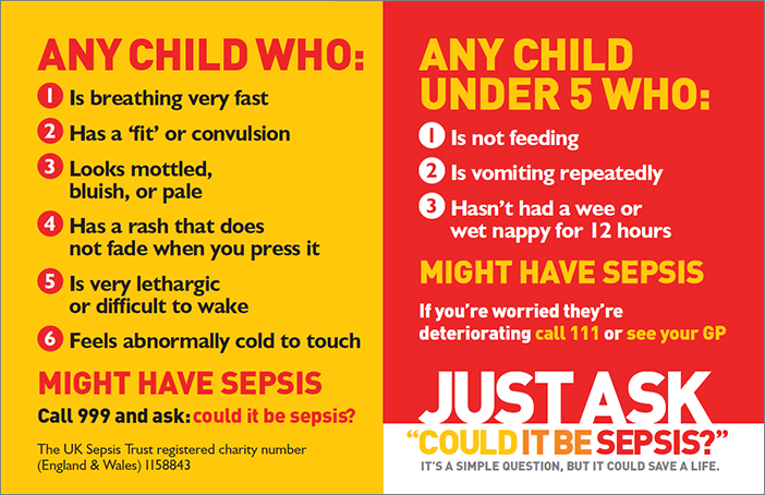What is sepsis and why it is so important to recognise the symptoms, with Harriet from Toby & Roo