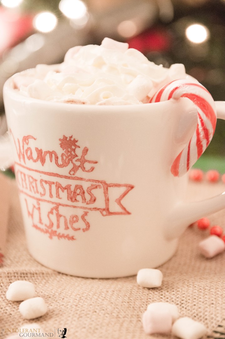 Christmas Hot Chocolate - the perfect hot chocolate for anyone who needs a dairy-free and gluten-free recipe! It has delicious warming and christmassy flavours thanks to the cinnamon and nutmeg! www.intolerantgourmand.com