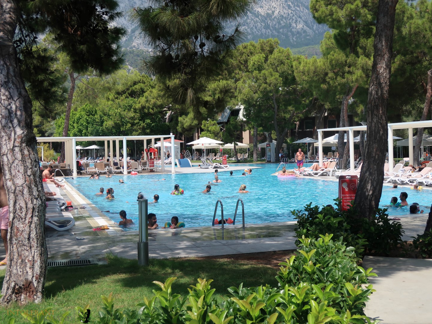 Rixos Sungate Kemer Antalya with Jet 2 Holidays - swimming pool in the background, surrounded by trees, and very sunny. www.intolerantgourmand.com